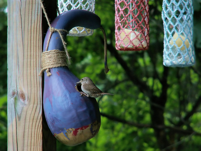 Maximize kitchen sustainability by recycling cookware